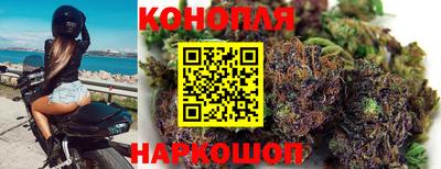 гидропоника Жуковский