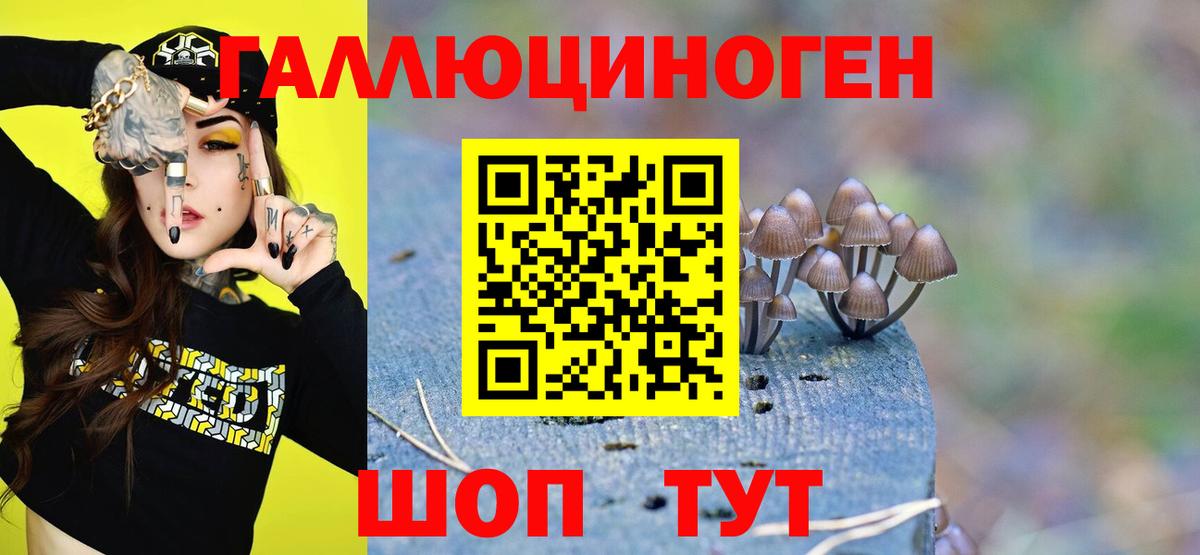 Галлюциногенные грибы Psilocybine cubensis Лянтор